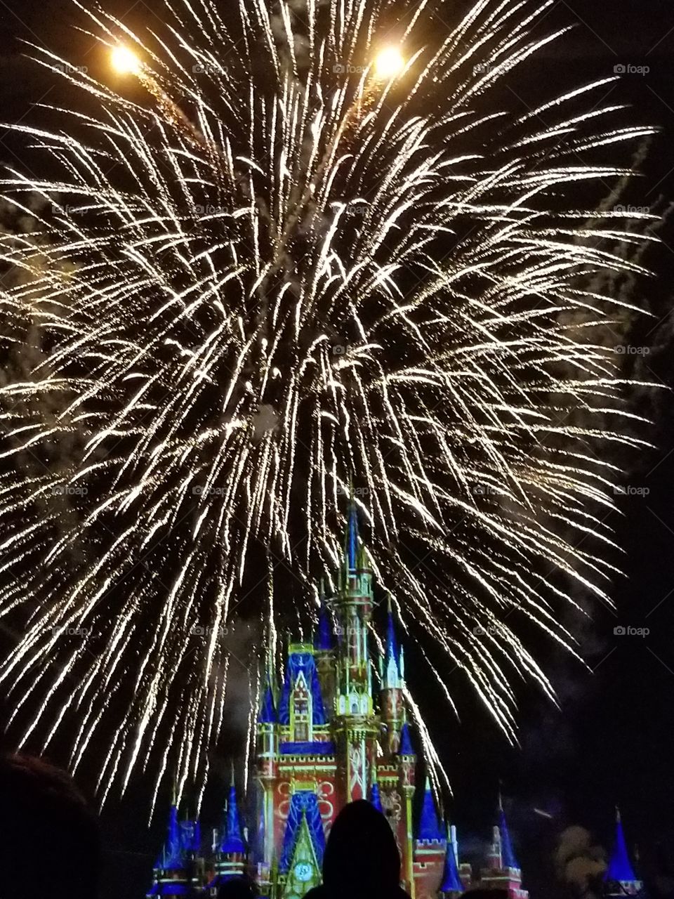 Magical fireworks picture above Magic Kingdom
