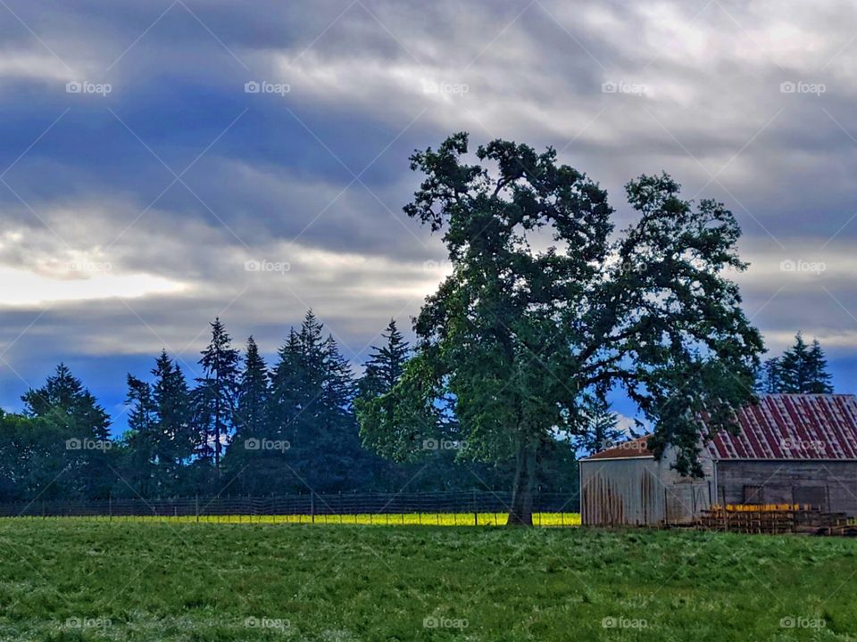 Oregon Country Photography