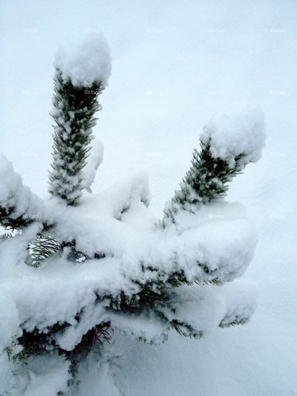 snow winter snö vinter by elluca