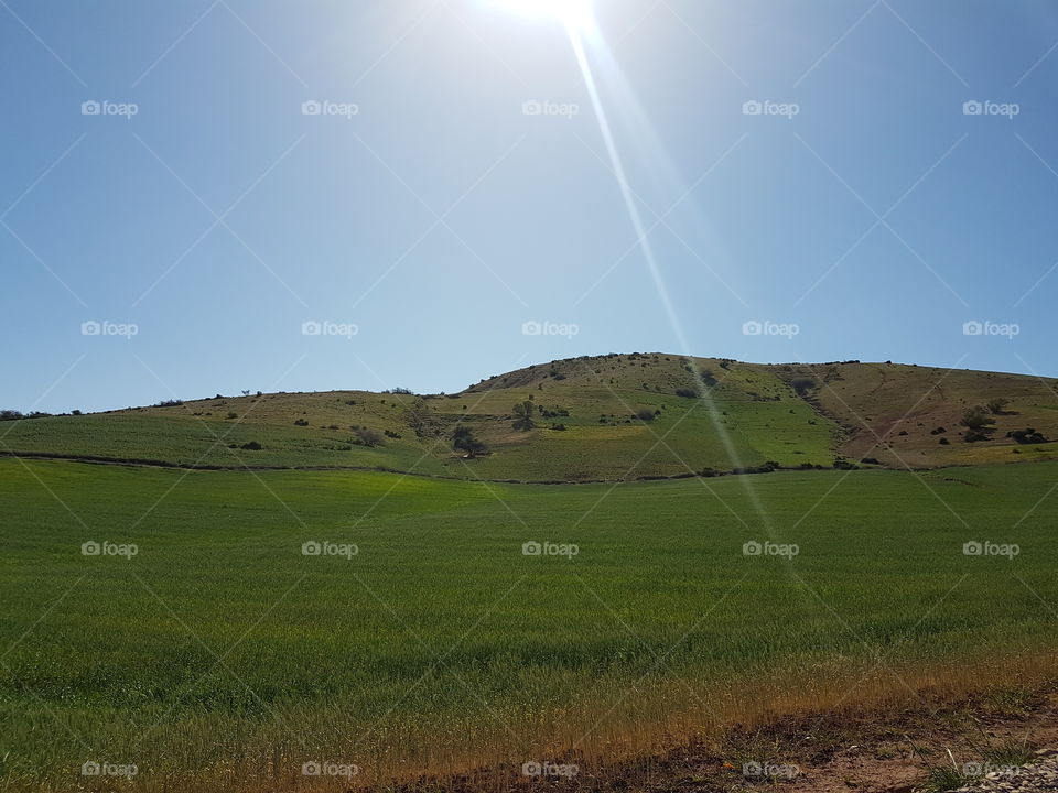 Nature _ Moroccan Fields