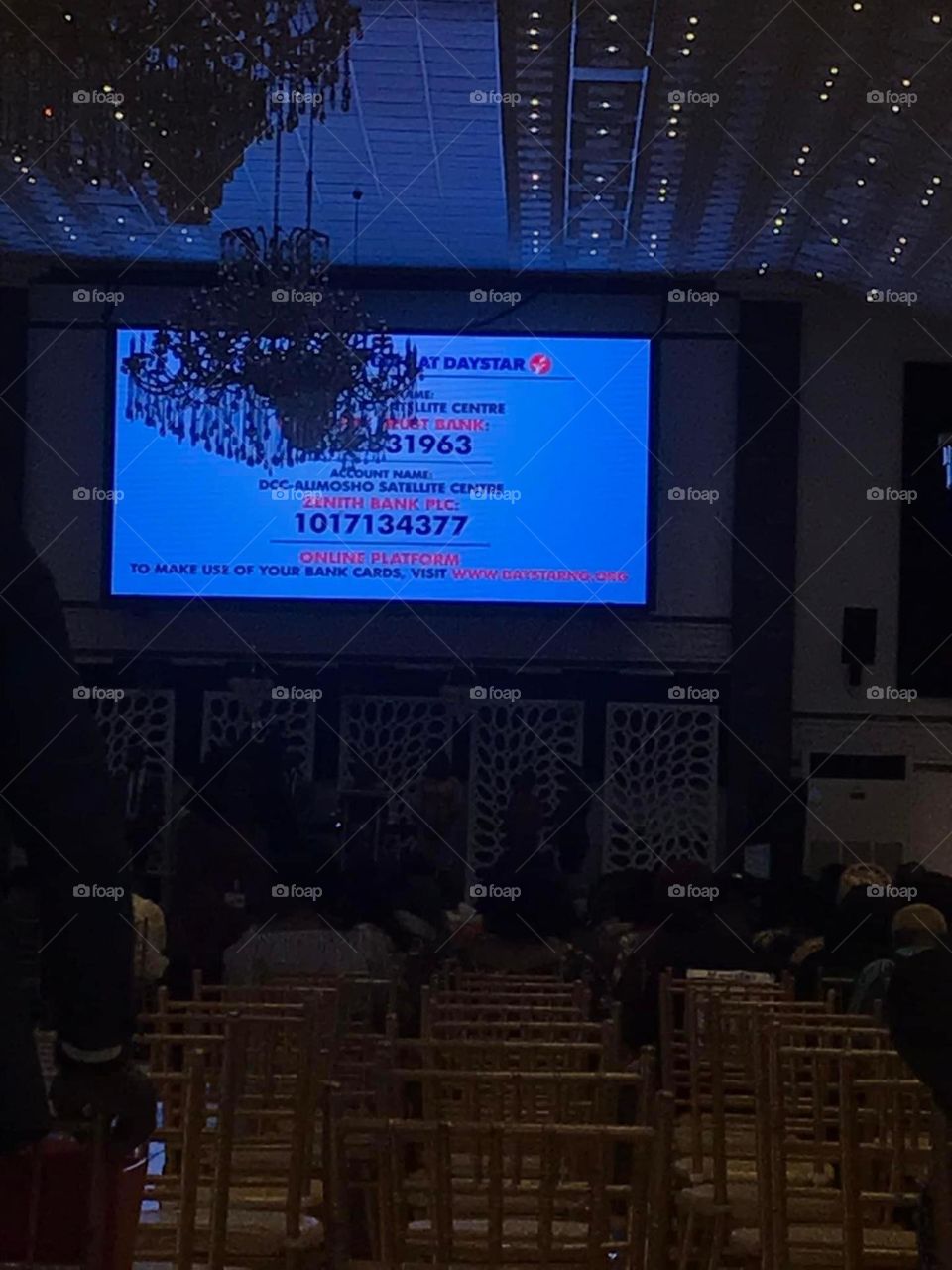 these are work of arts, the beauty of creation, the essence of beautiful images.