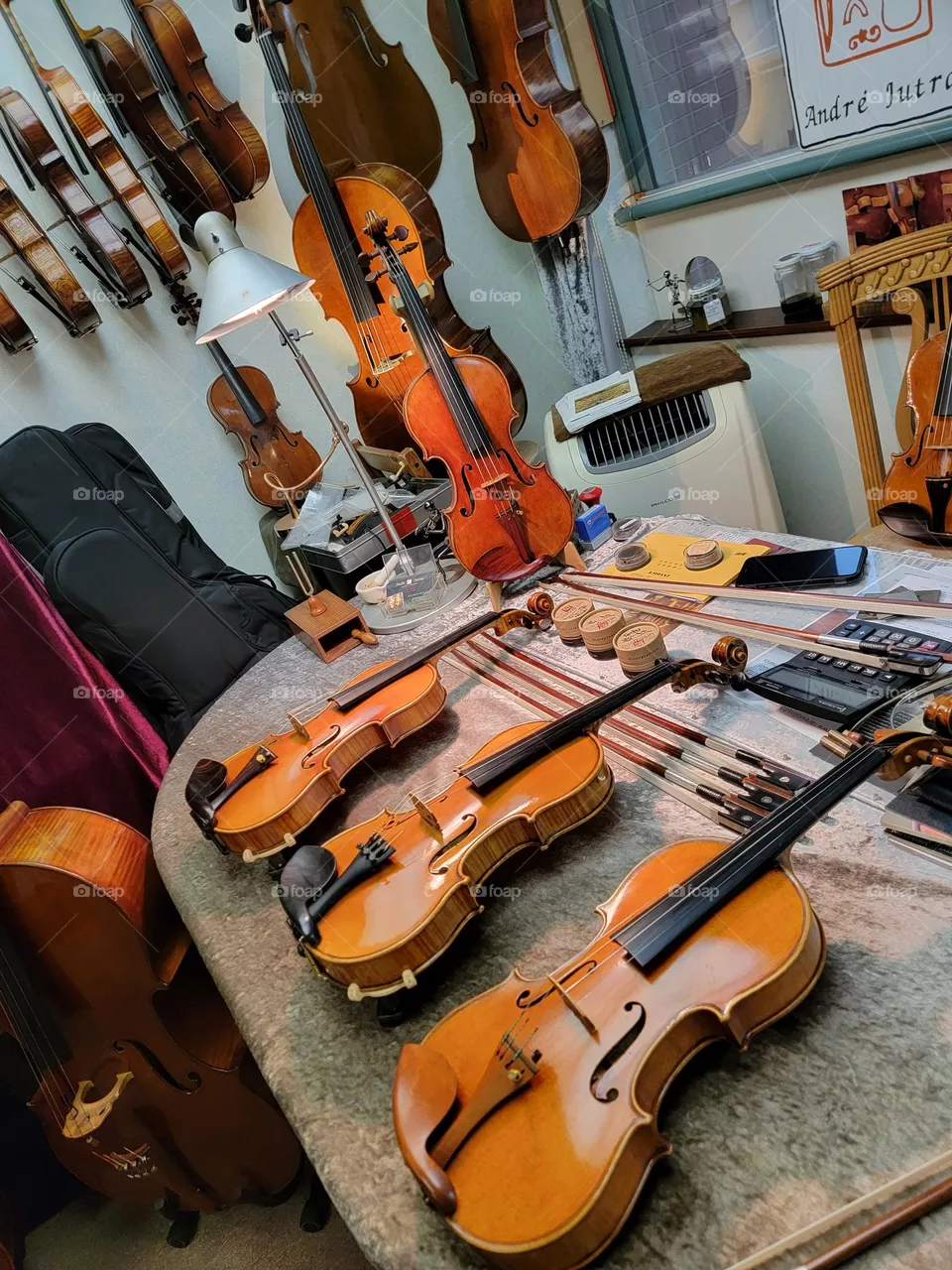 Best Violins