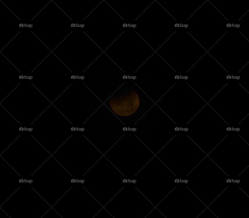 Dark Side Of The Moon