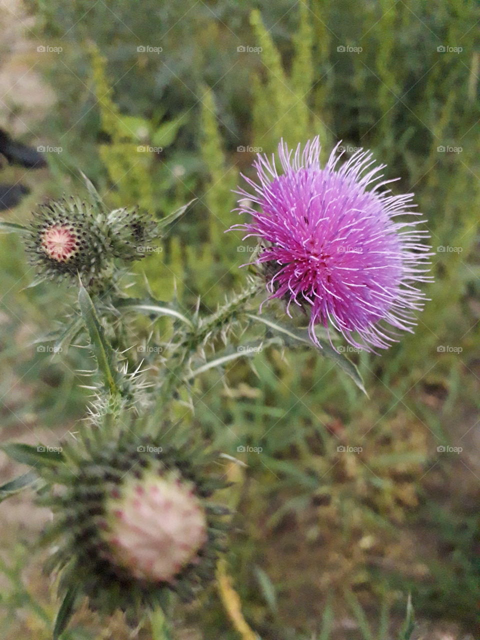 First photo from me! How do you like it? :D