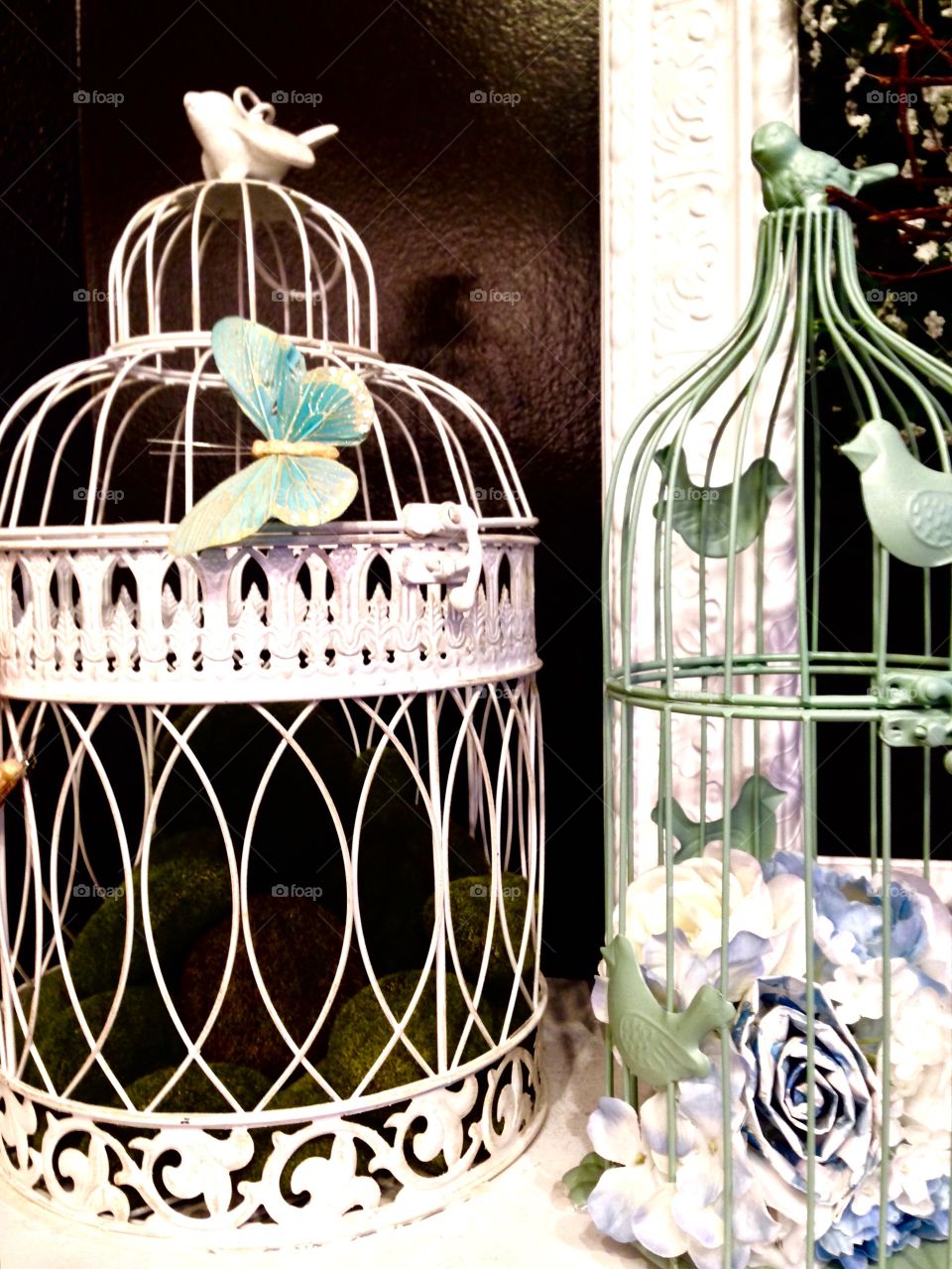 Bird Cage

Published by:
HappyBrownMonkey 