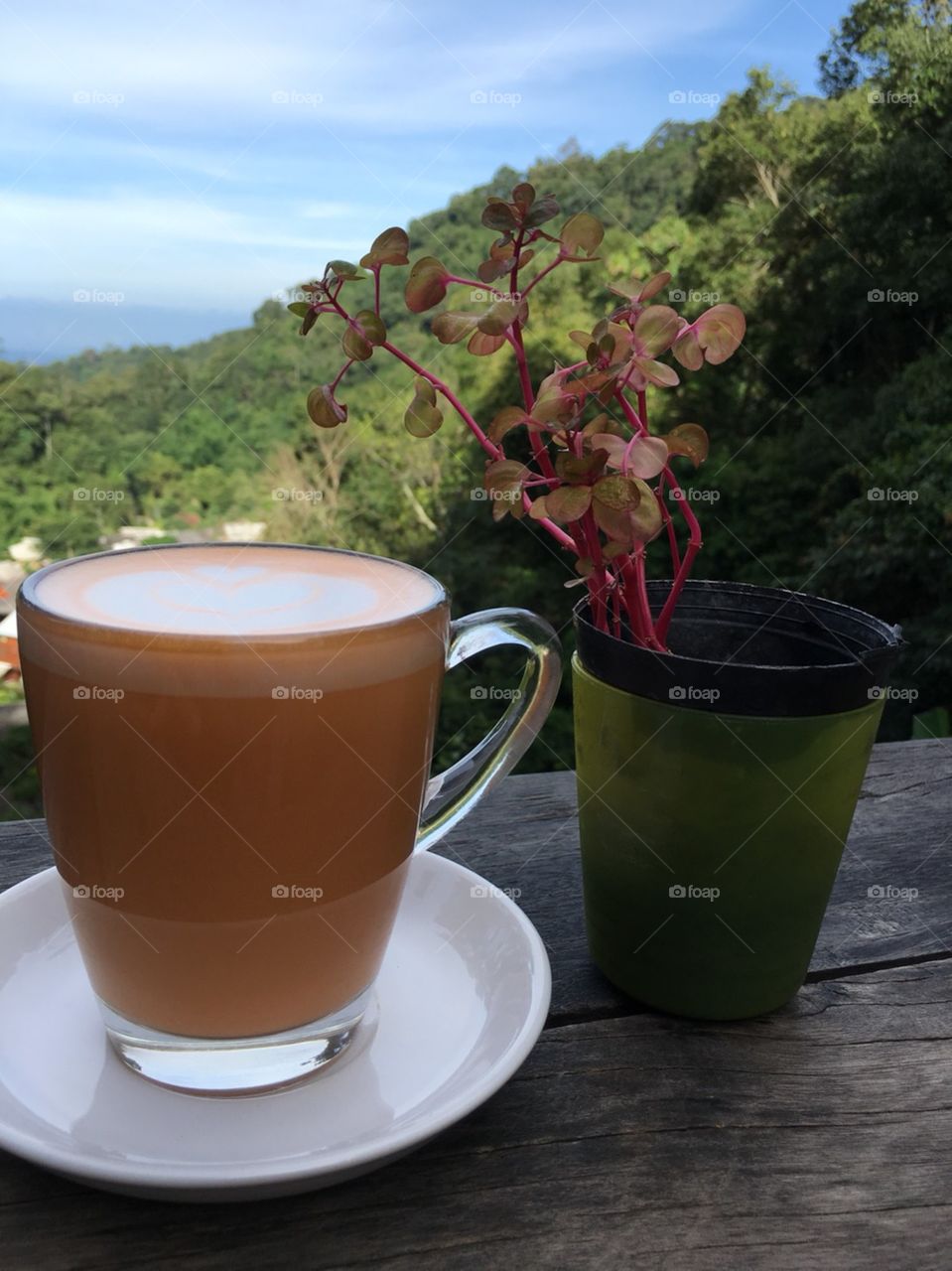 Coffee and Nature.