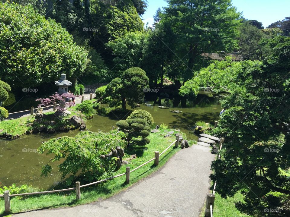 San Francisco Japanese Tea Garden 