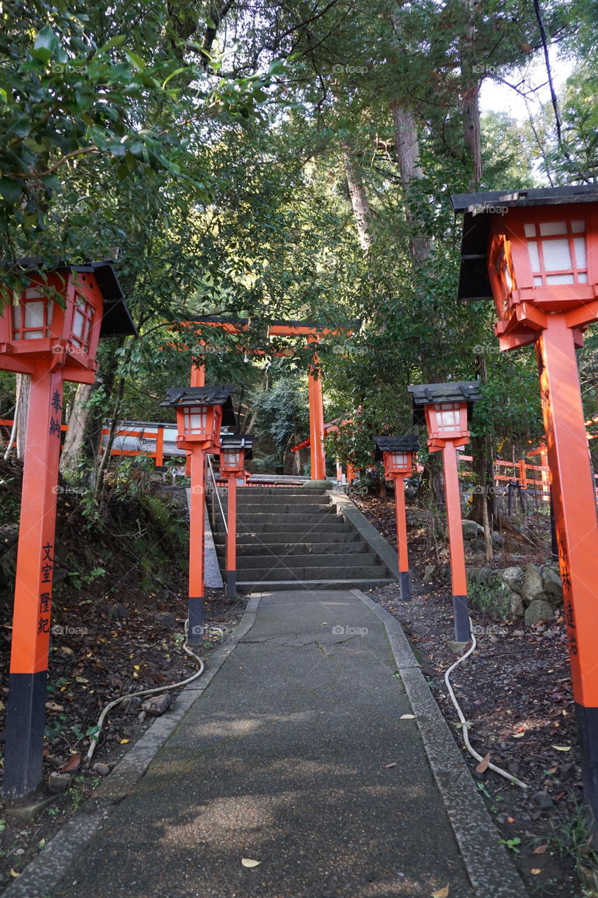 Shinto shrine path lanterns