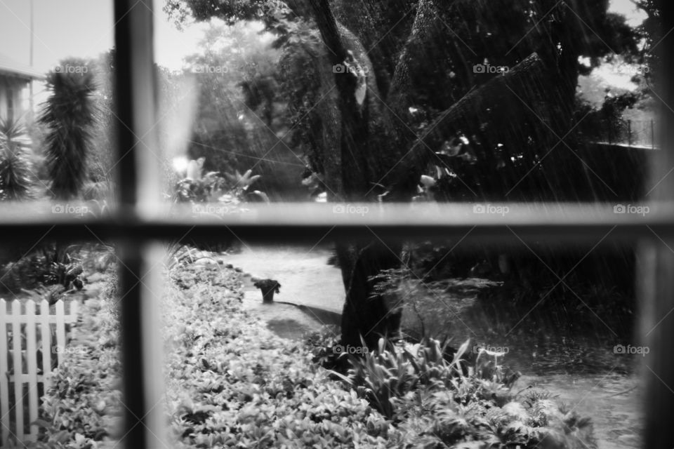 Looking through the window and watching the rain 