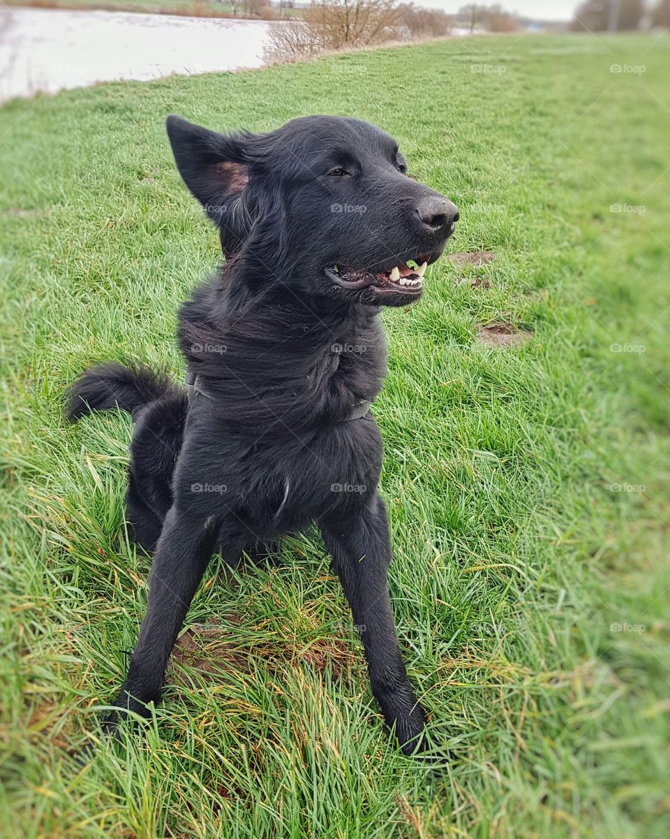 Windy day