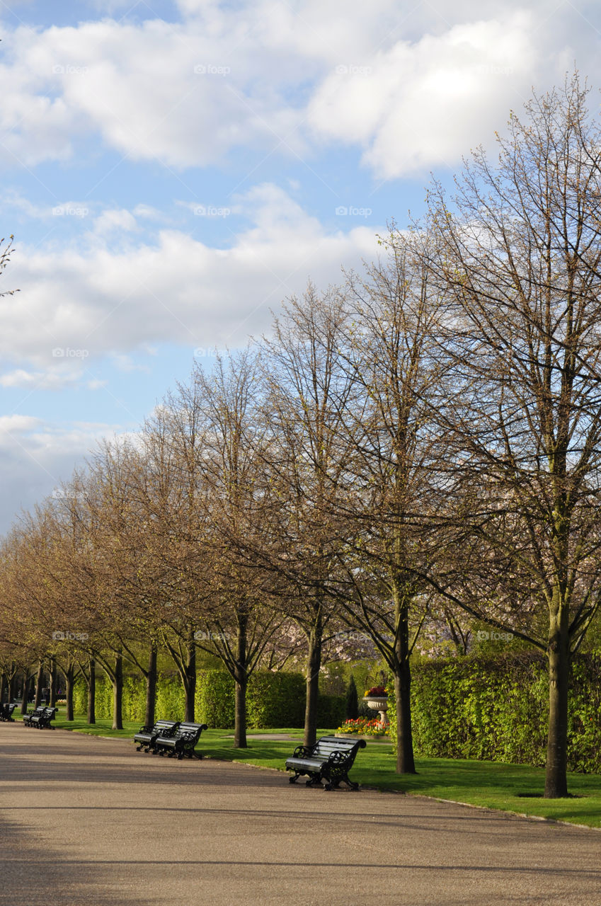 London view of park 