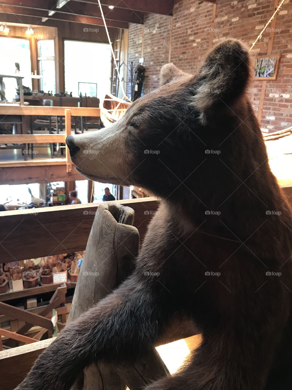 Inside a store in downtown Bar Harbor, Maine
