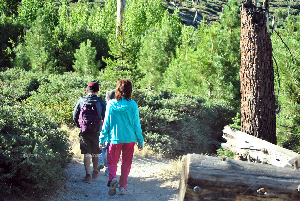 Hiking buddies