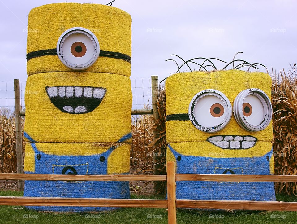 Minion Hay Barrels