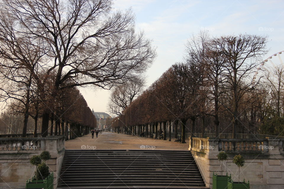 Autumn park walk