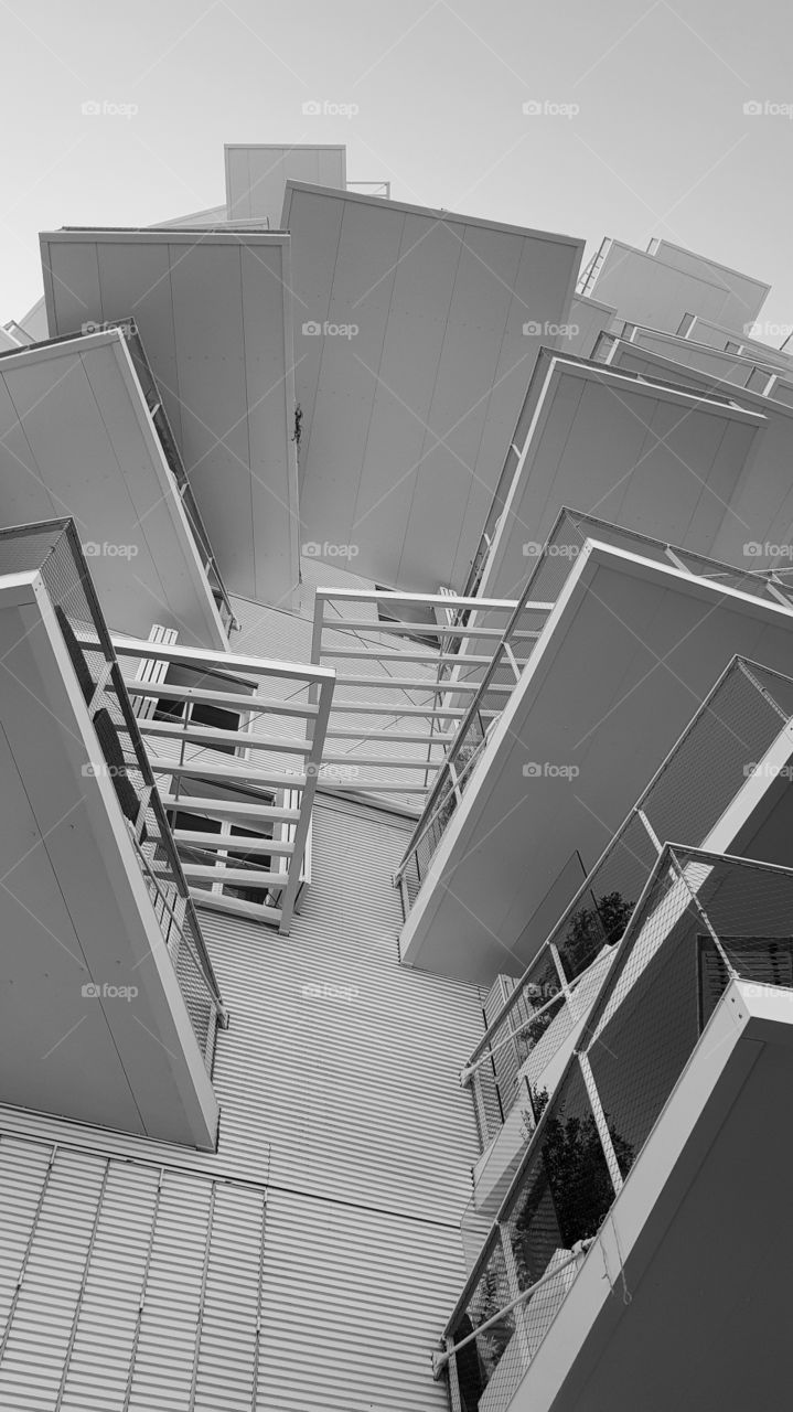 Arbre Blanc France Montpellier