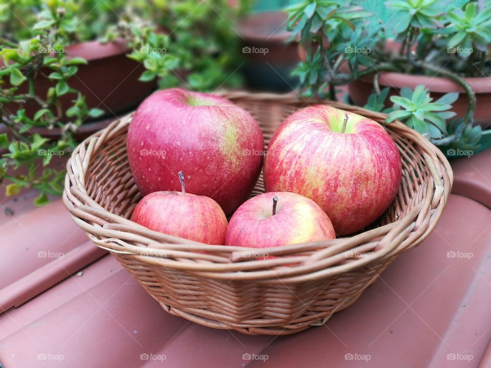 apple family, different sizes in basket