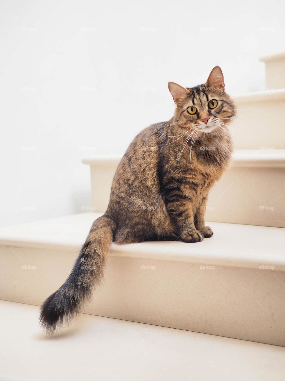 Beautiful and cute cay