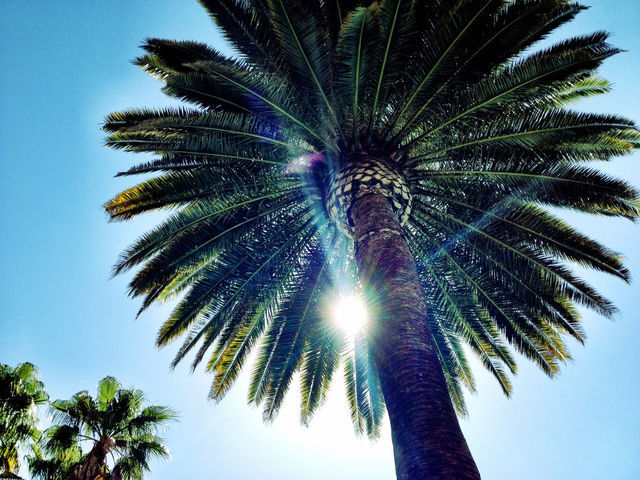 sunlight beauty nevada vegas by stykellee