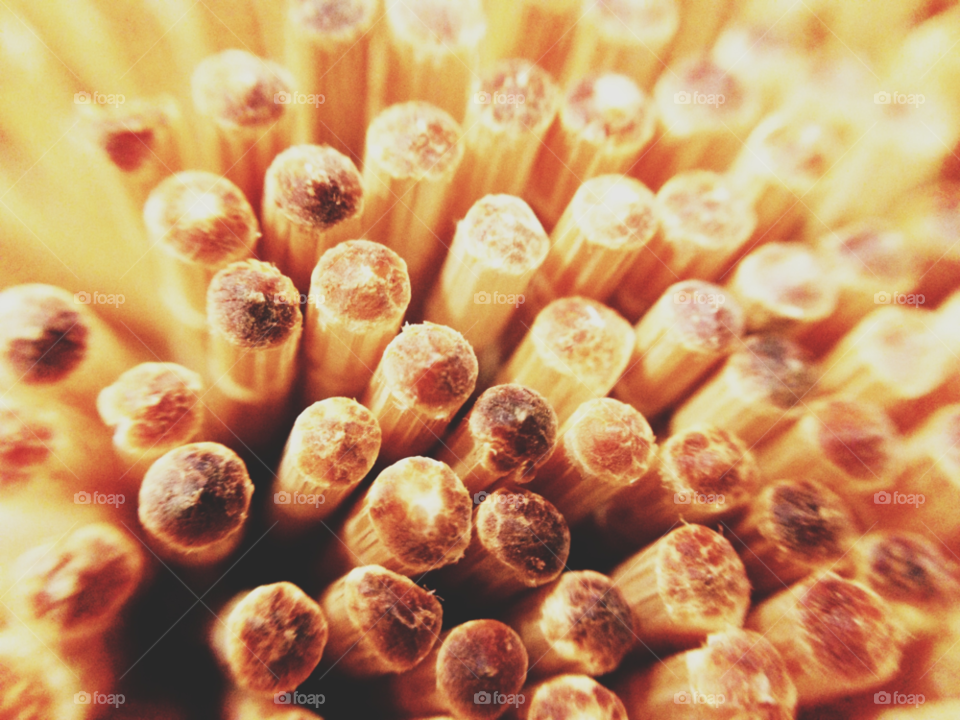 macro closeup back toothpicks by gene916