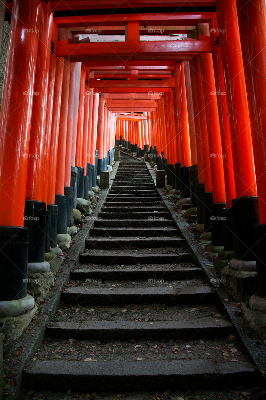 Torii gates at Fushimi Inari Taisha