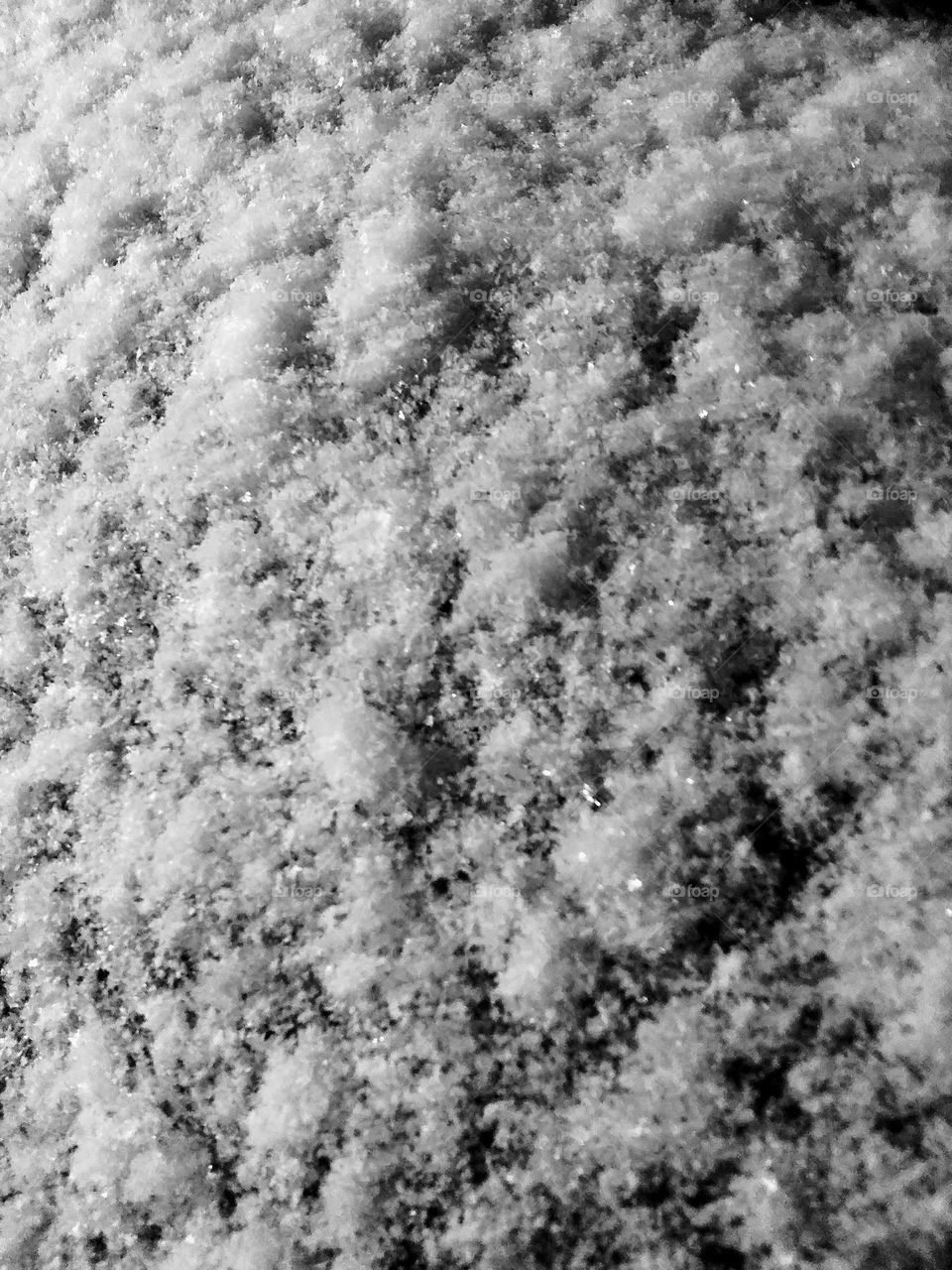 snow on a surface