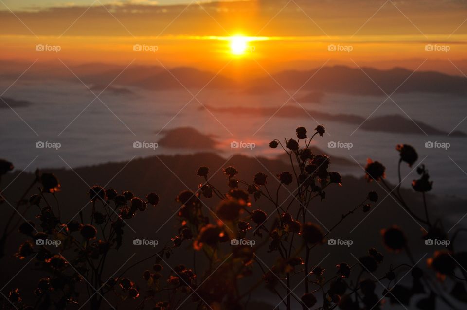 Sunset, Sun, Landscape, Dawn, Light