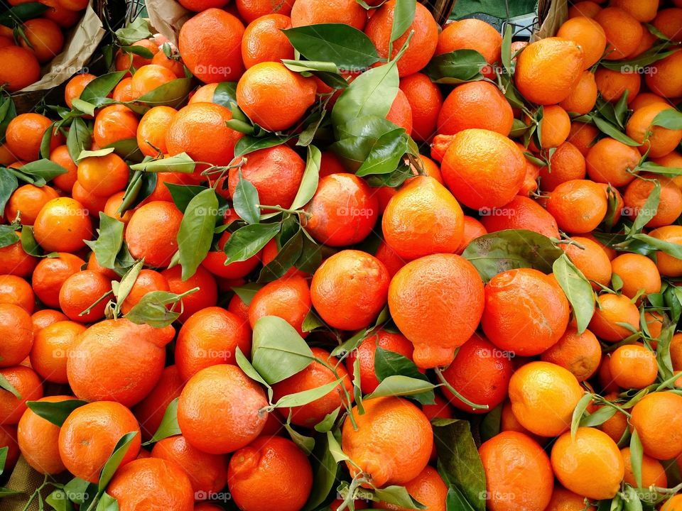Tangerines!. citrus.