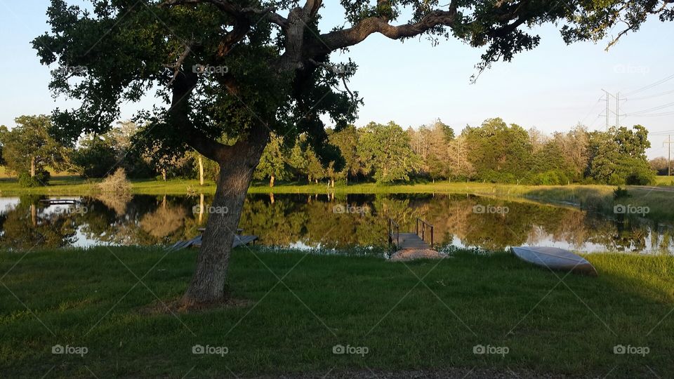 Pond on Ranch. took this picture at my family ranch