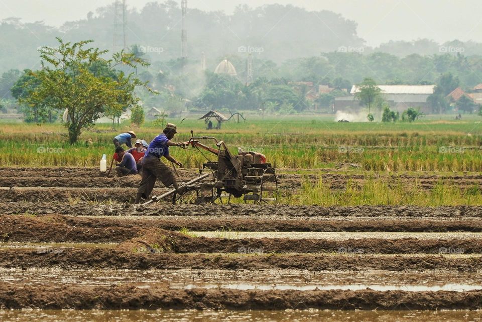 Farmer plowing the field before planting seeds