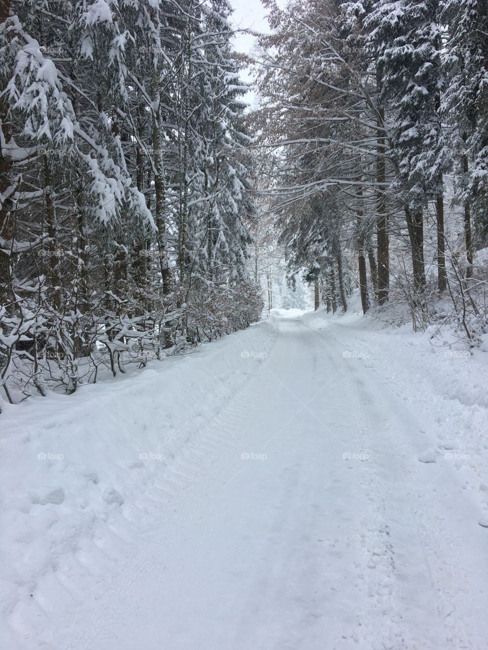 All snow as far as you can see.