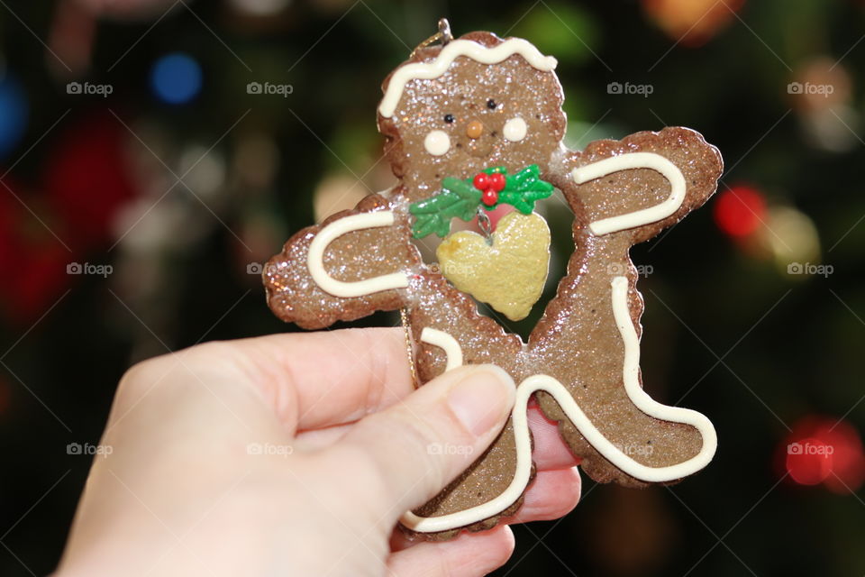 Gingerbread Love