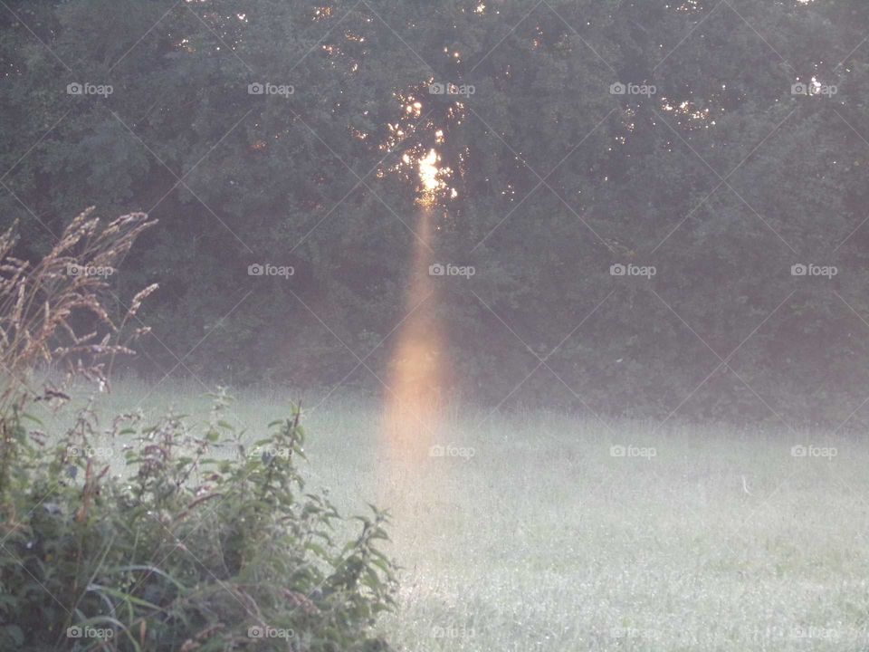 Sonnenstrahl im Nebel