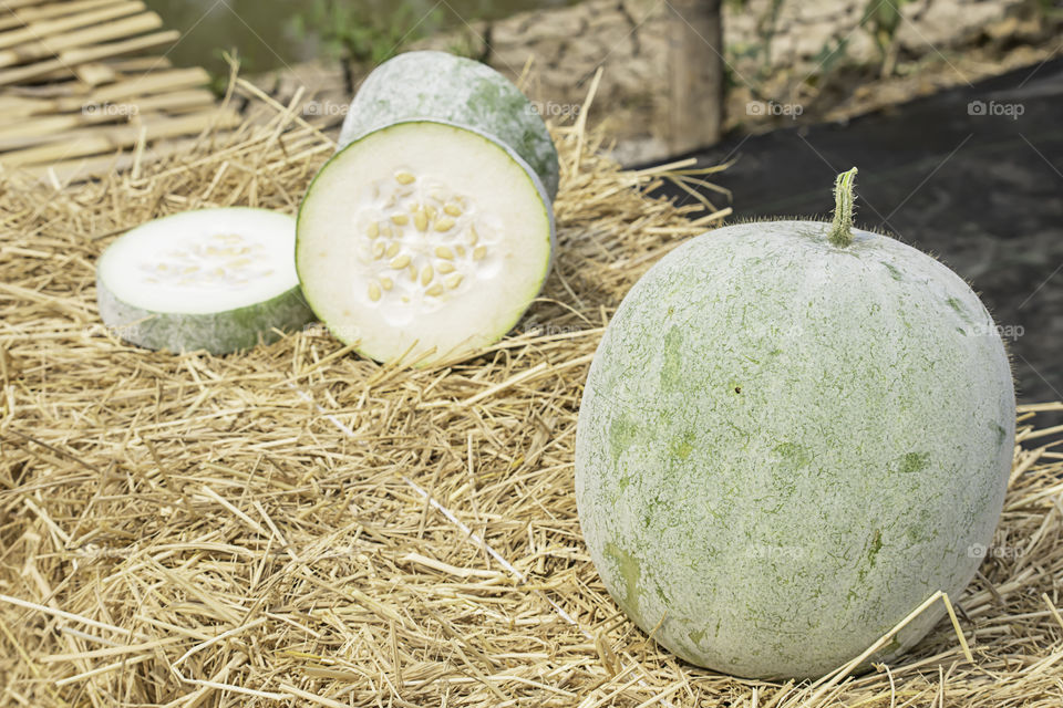 Winter melon is cut into pieces on the straw.