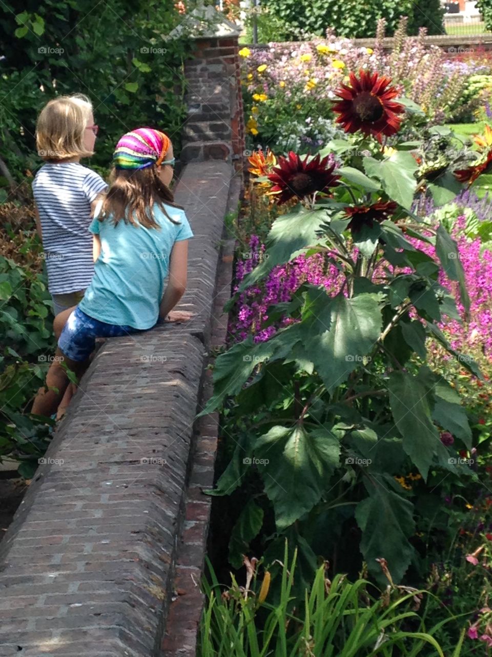 Looking at the flowers. Kensington gardens. London
