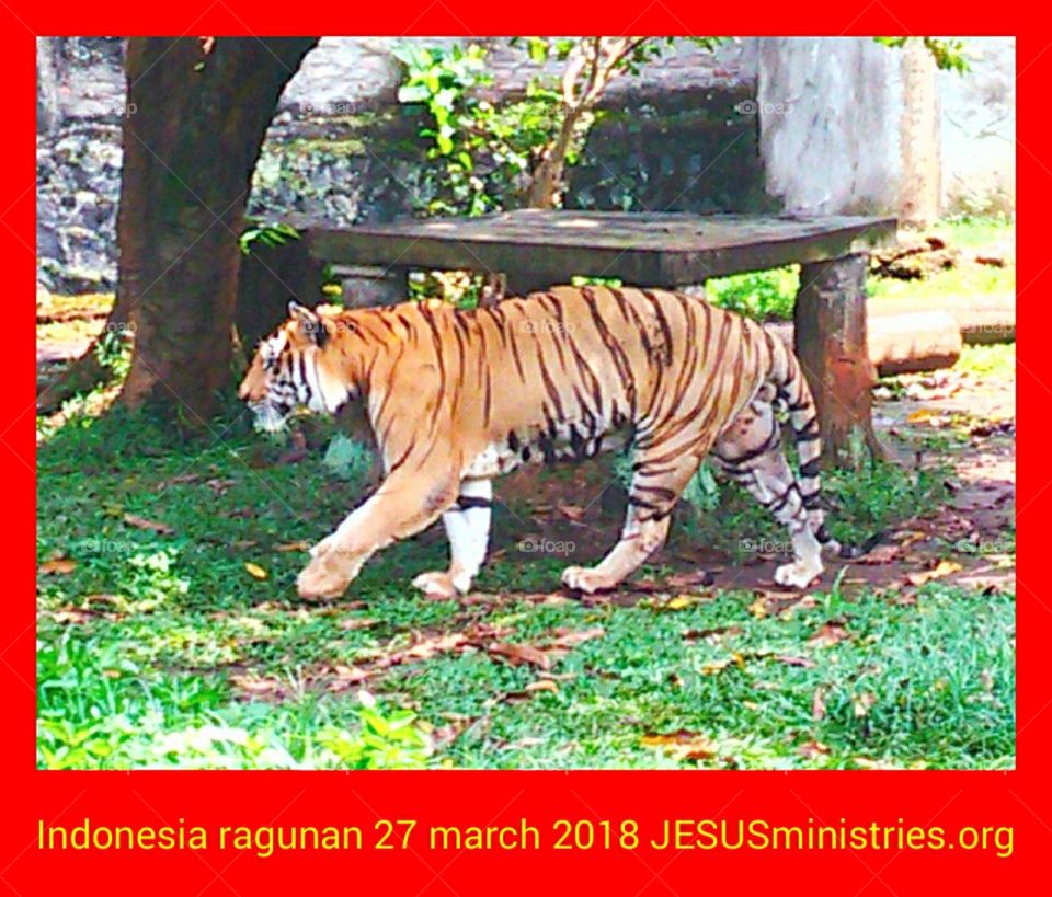 Indonesia ragunan 27 march 2018 JESUSministries.org