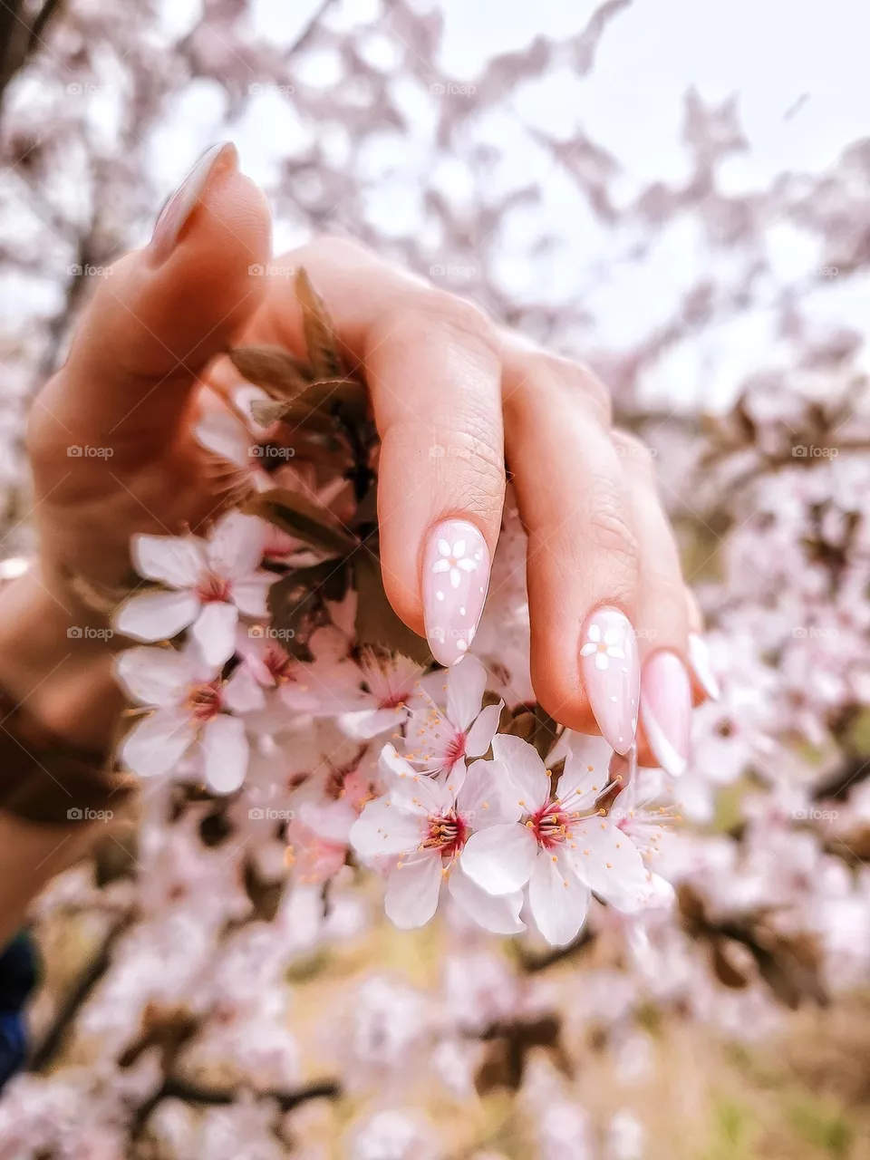 Spring