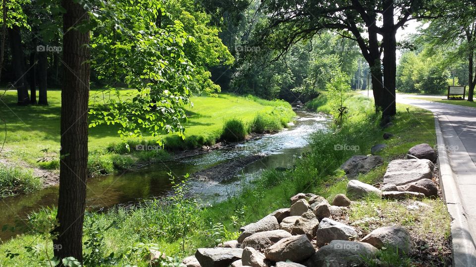 Stream in Beautiful Nature. Mineral Springs Park in Minnesota, USA