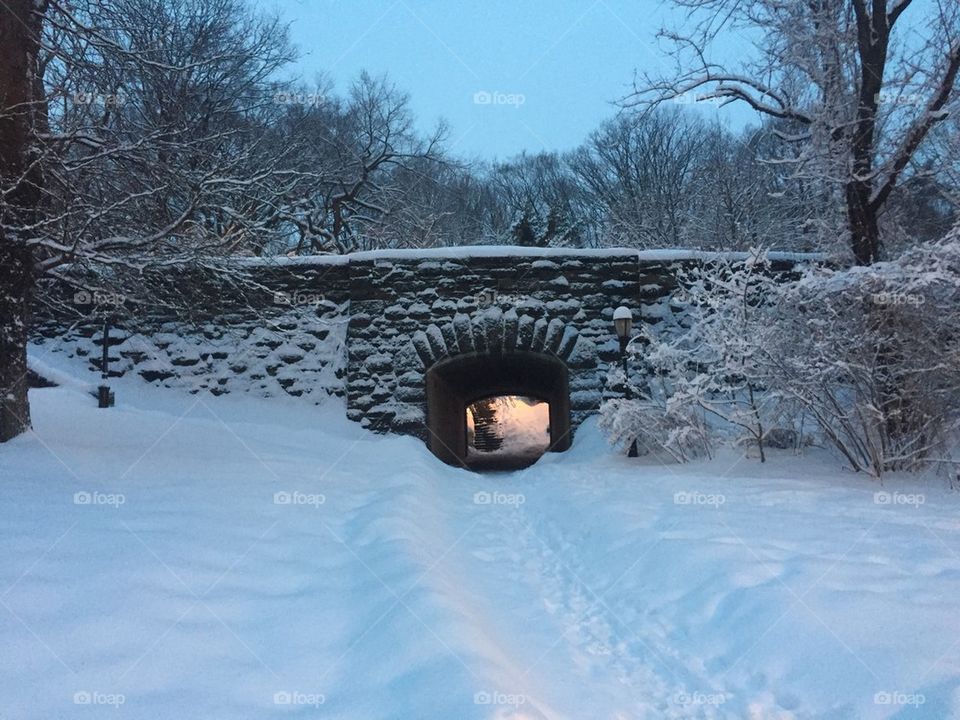 Winter tunnel