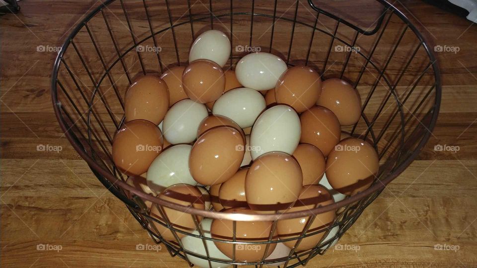 farmfresh eggs