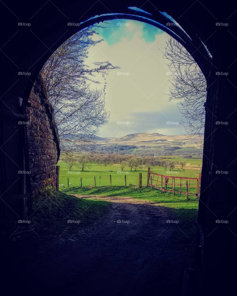 view from the tunnel