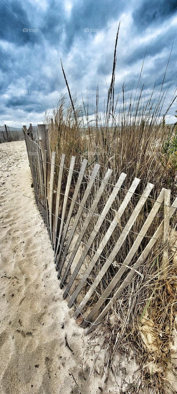 Sand Fence