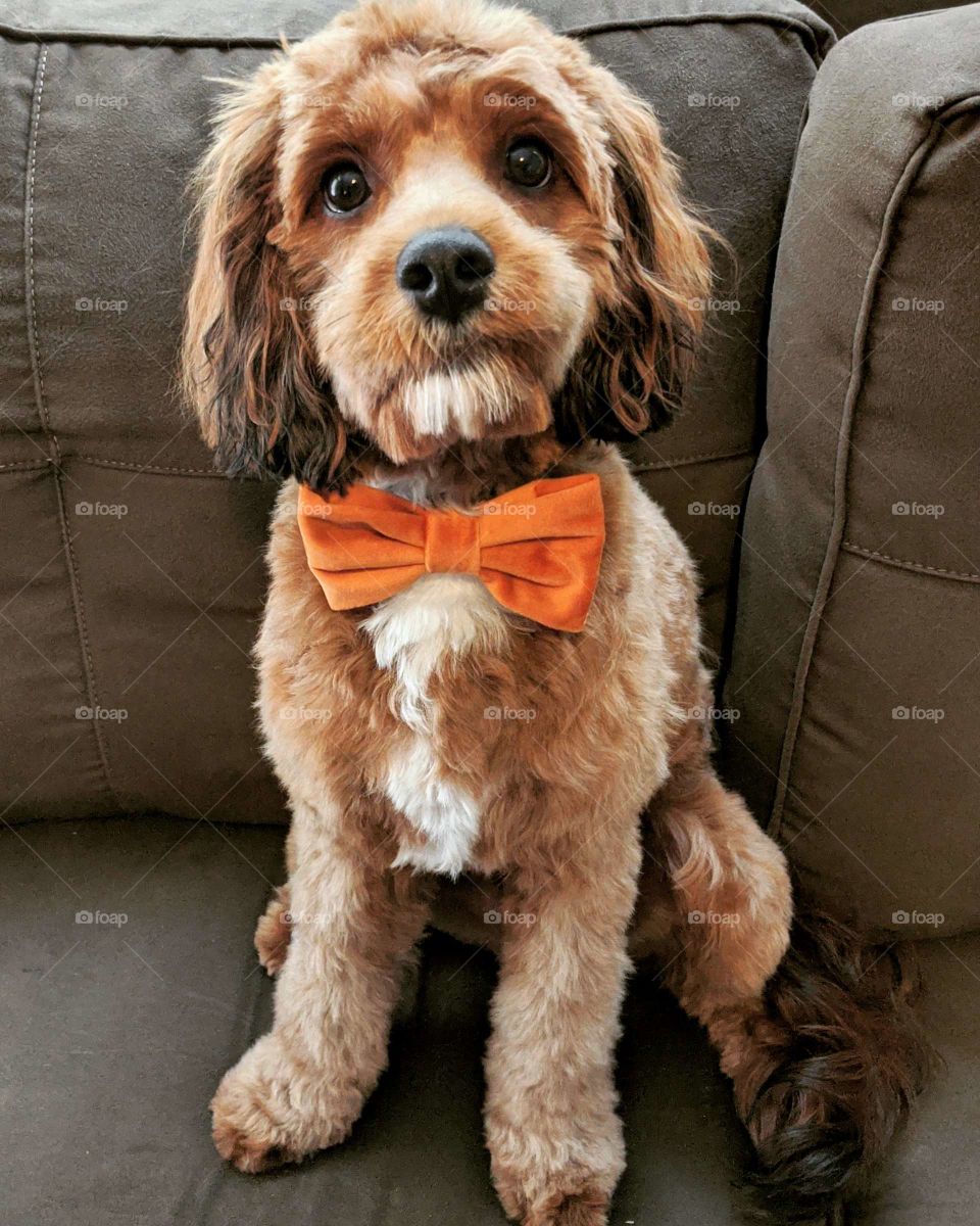 All dressed up and ready to go