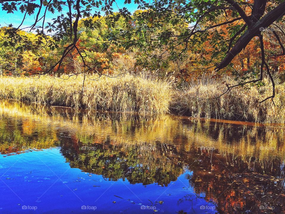 Milford, CT. On my lunch break 