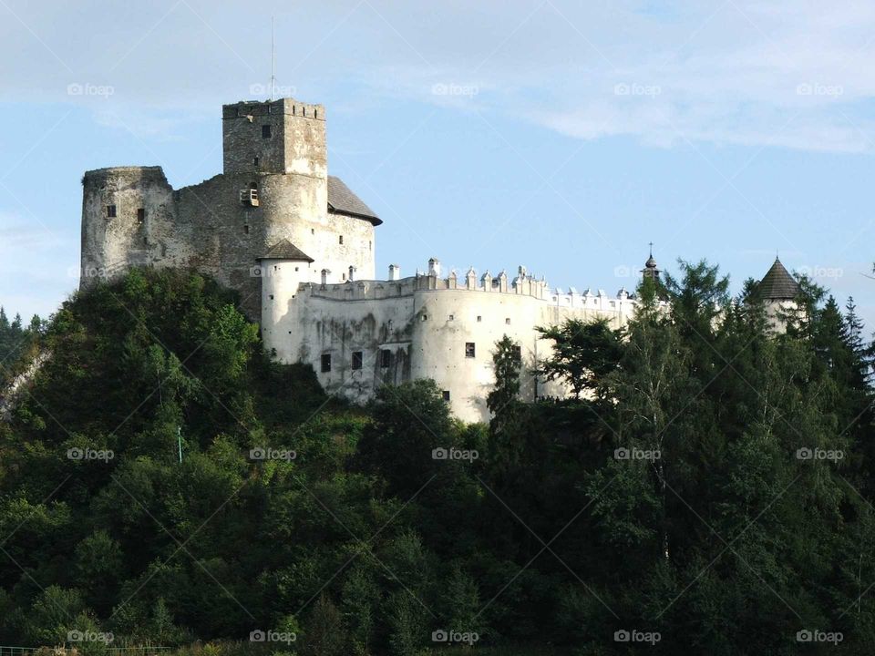 Castle from Poland