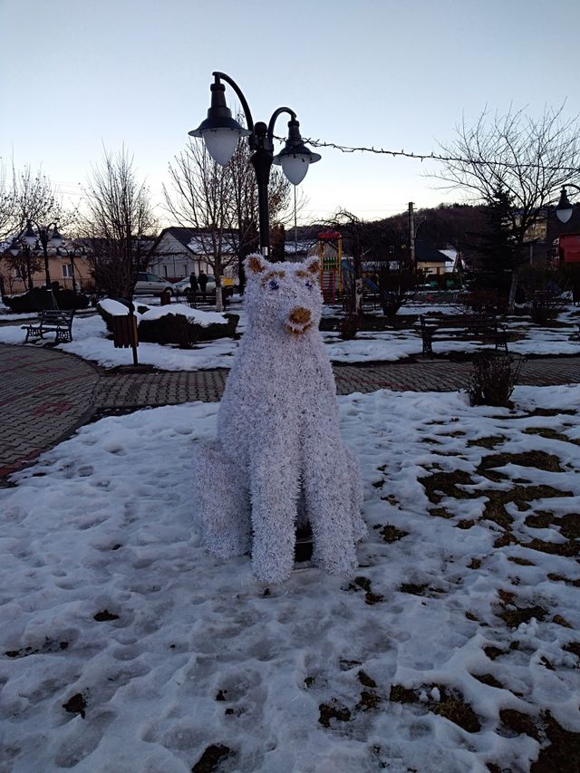 pollar bear