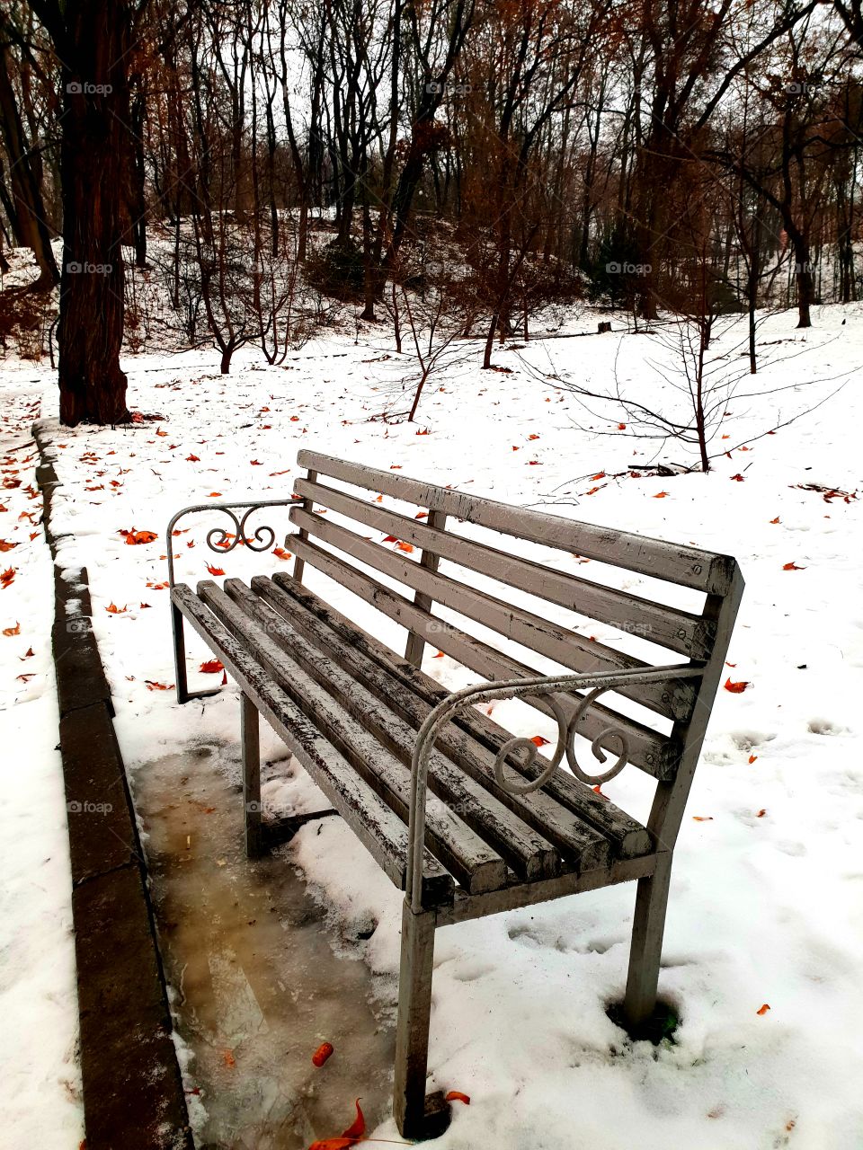 bench