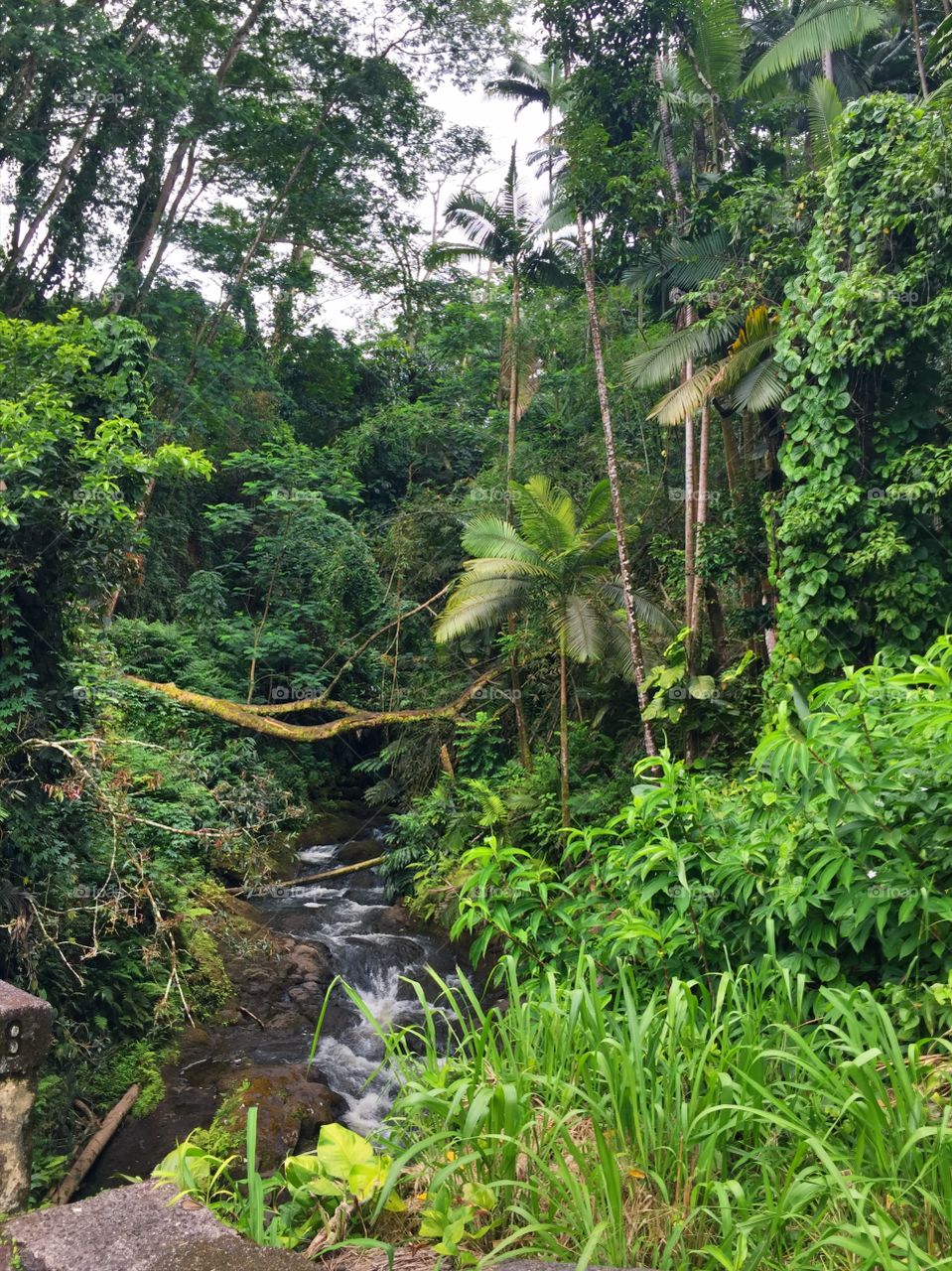 Hiking 