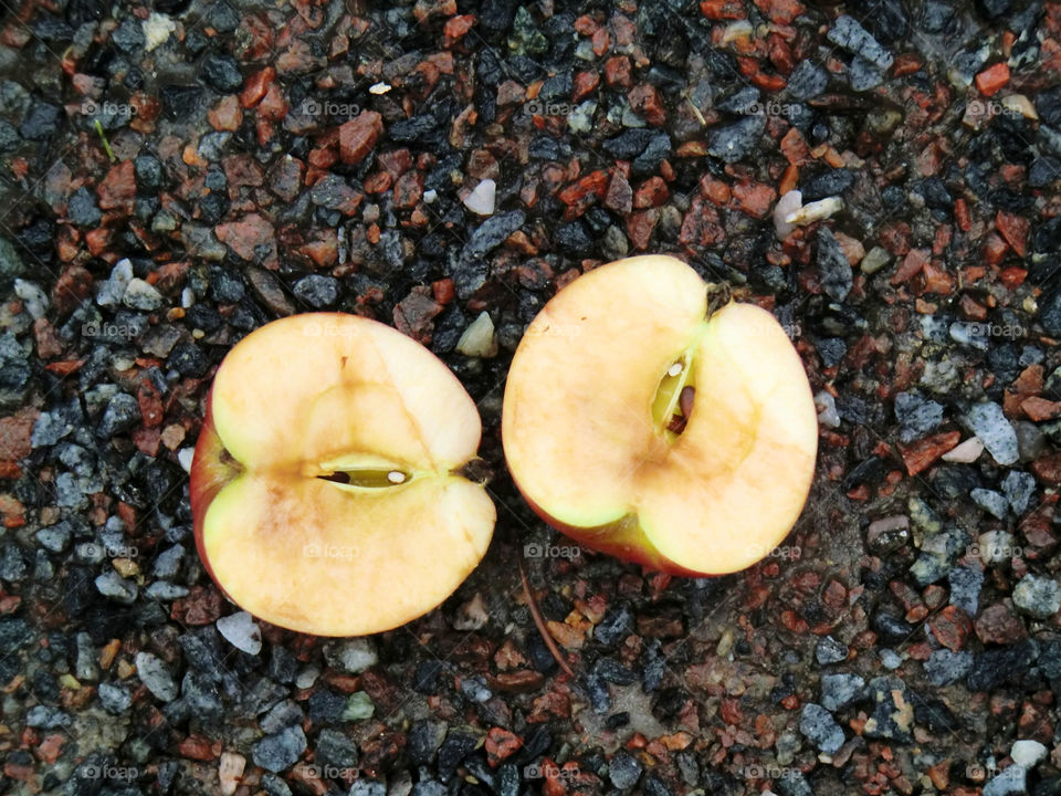 stones fall autumn apples by cabday