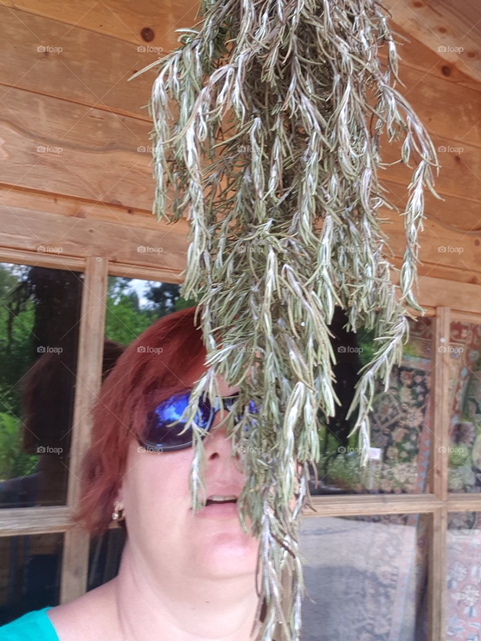 Botanischer Garten Frankfurt